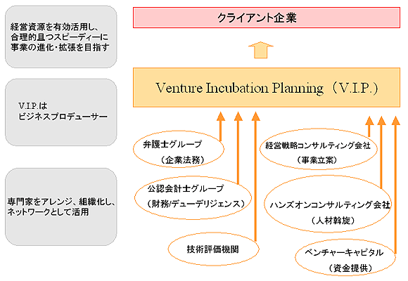 ベンチャー起業コンサルティング概略図