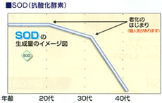 抗酸化酸素（SOD)生産量イメージの図